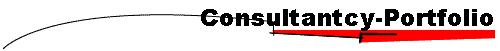 Consultantcy-Portfolio